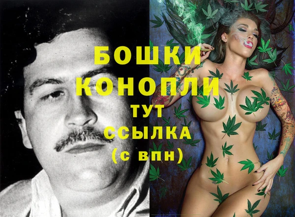 соль курить ск Горно-Алтайск