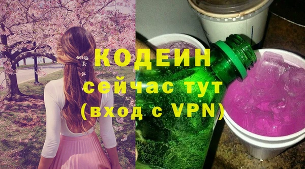 PSILOCYBIN Горняк