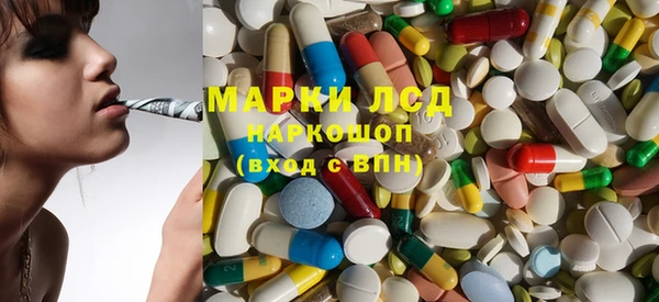 PSILOCYBIN Горняк