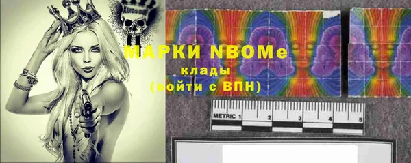 PSILOCYBIN Горняк