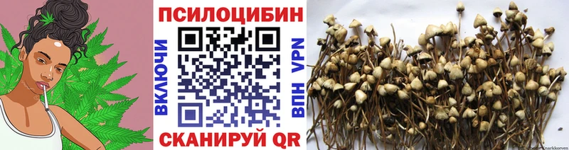 где купить наркотик  Ачхой-Мартан  Галлюциногенные грибы ЛСД 